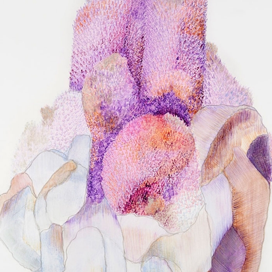 http://www.kosinfo24.mirunadragan.com/files/gimgs/th-23_Erratics-Draw3-detail-web_v2.jpg