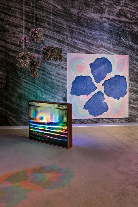 http://www.kosinfo24.mirunadragan.com/files/gimgs/th-54_Untitled2_W.jpg